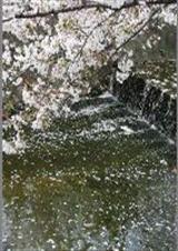 花样男子