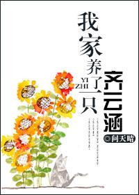 武炼巅峰