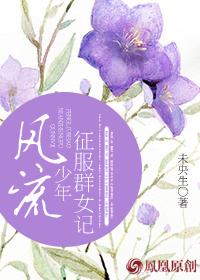 风流少年征服群女记
